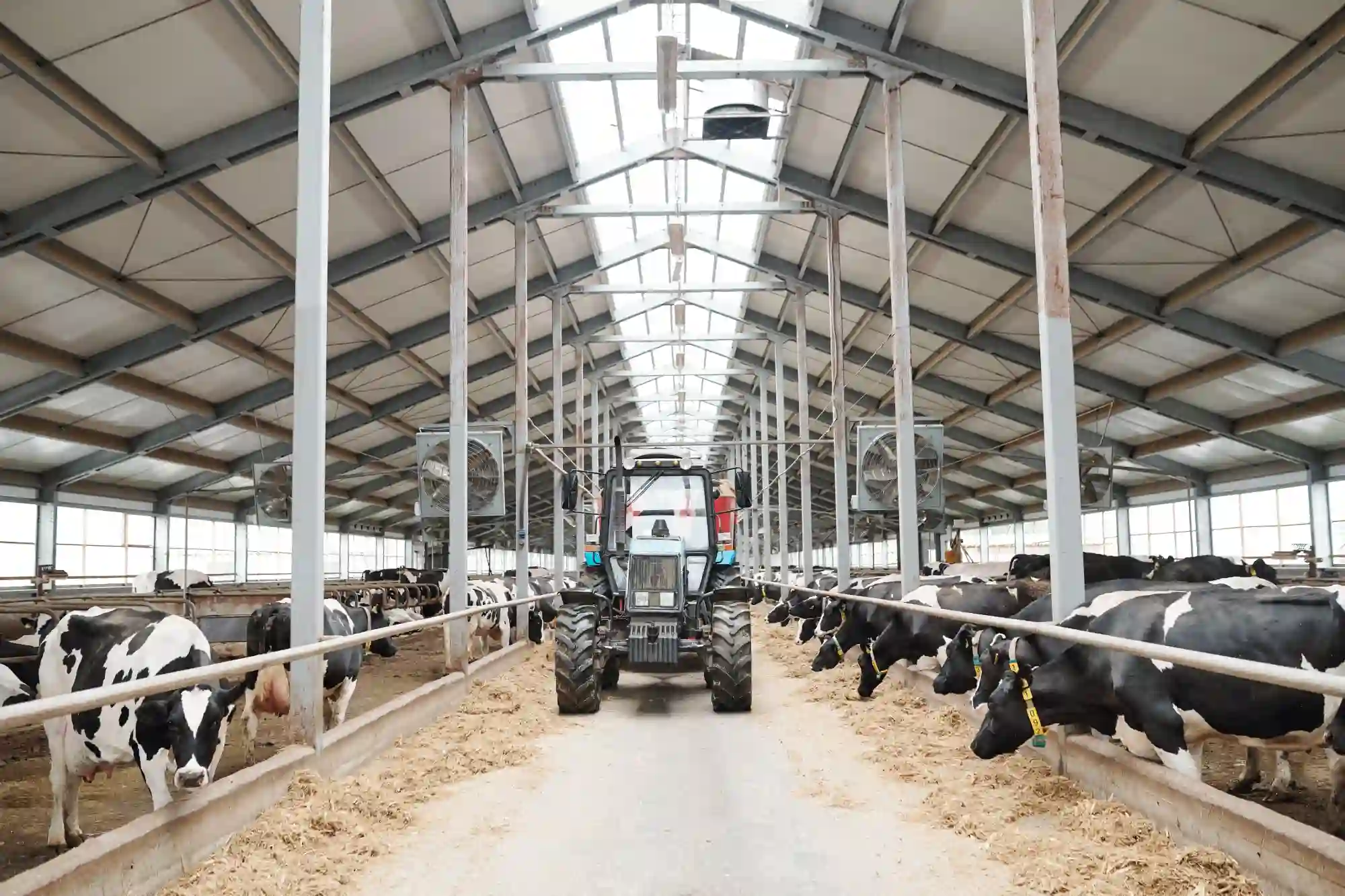 Landwirtschaftliche Halle